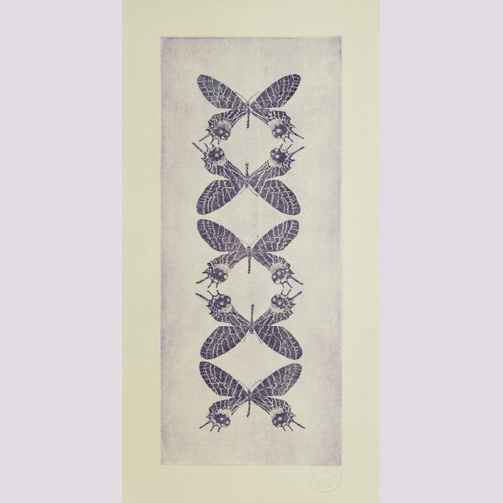 No entomophobia – Bhutanitis Lidderdalii