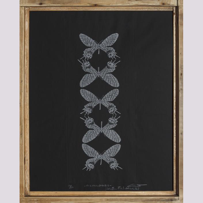 No entomophobia – Bhutanitis Lidderdalii