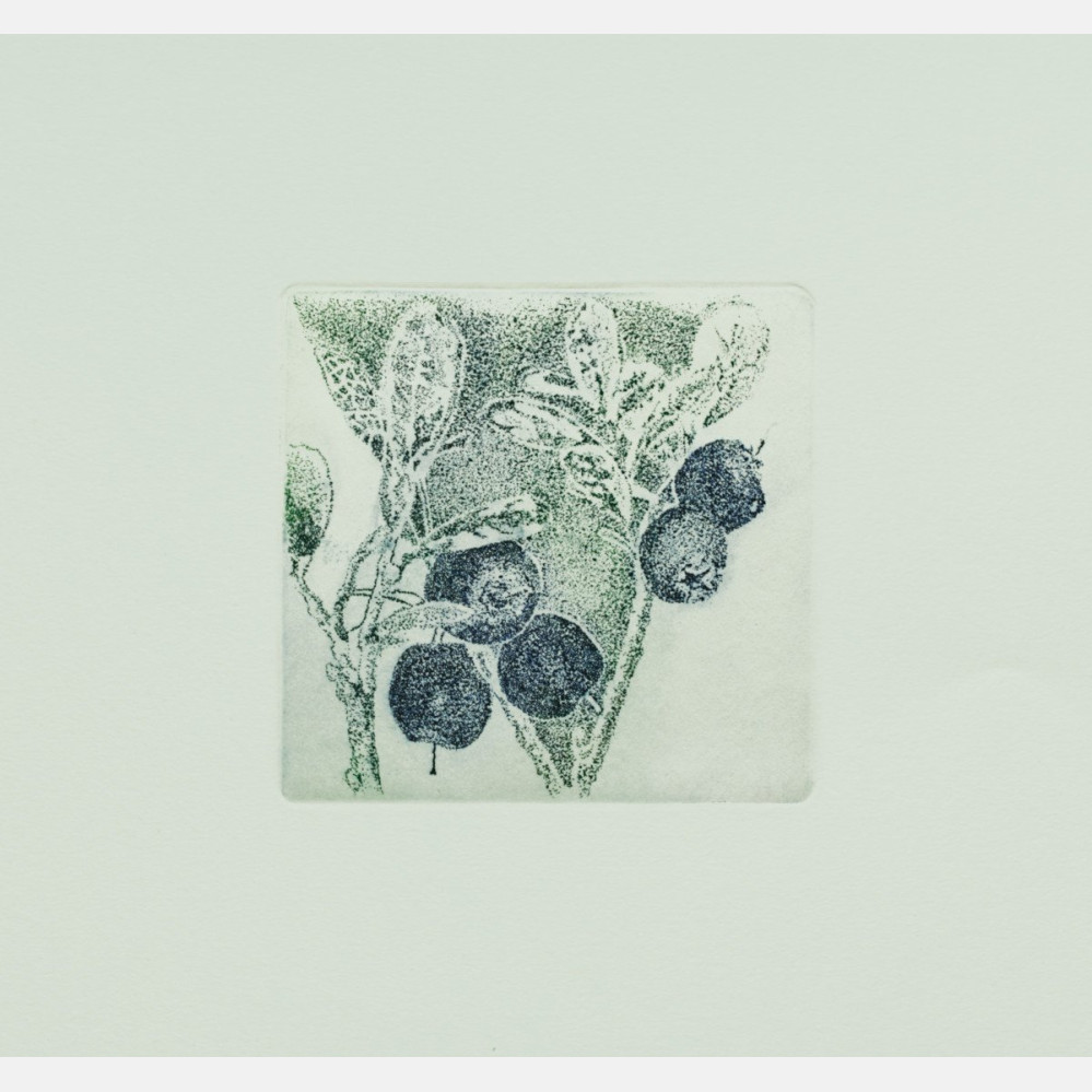 Berrying: Blåbær-