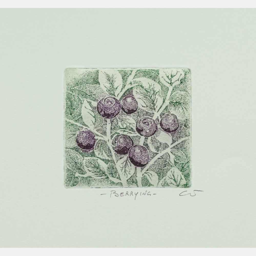 Berrying: Blåbær B
