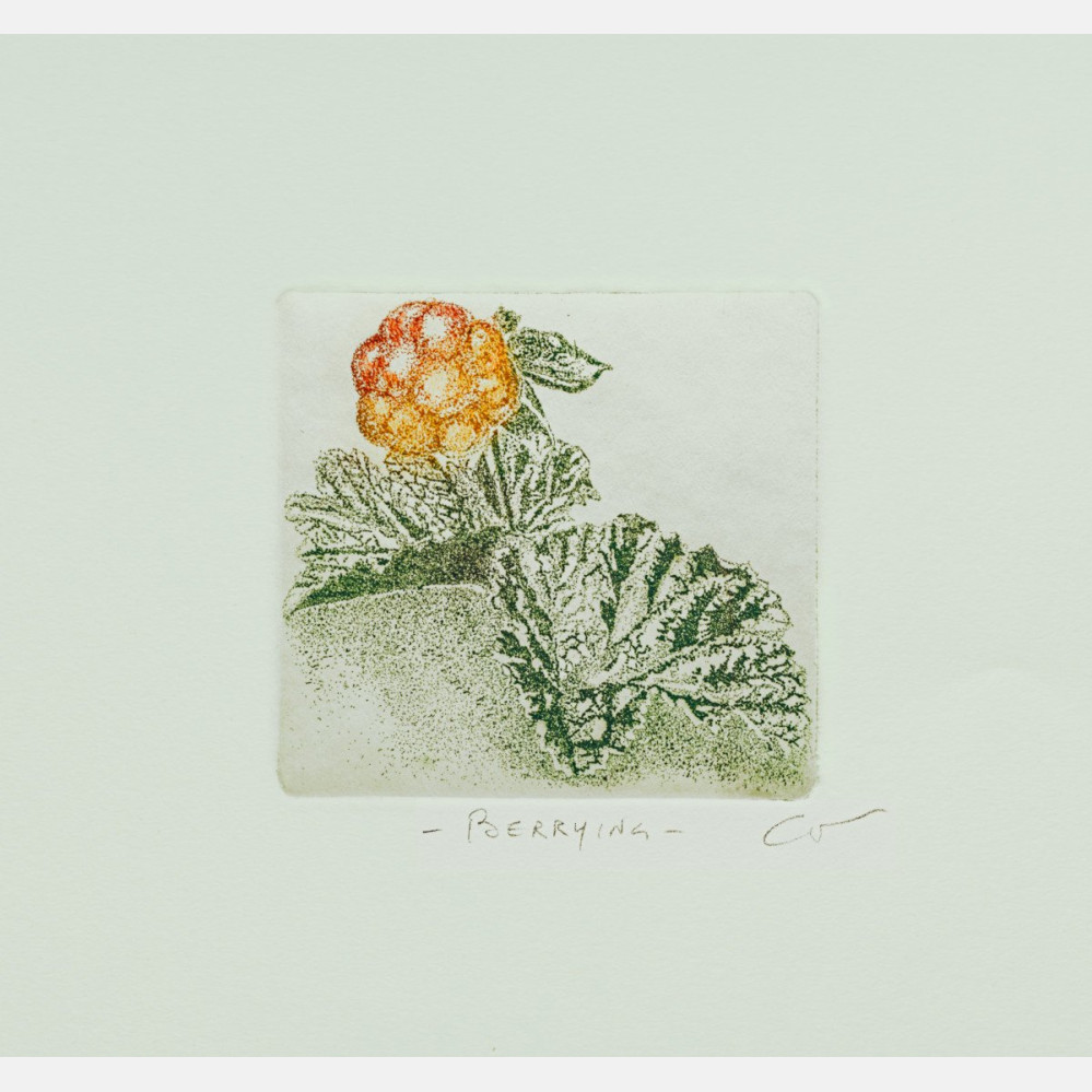 Berrying: Multebær B