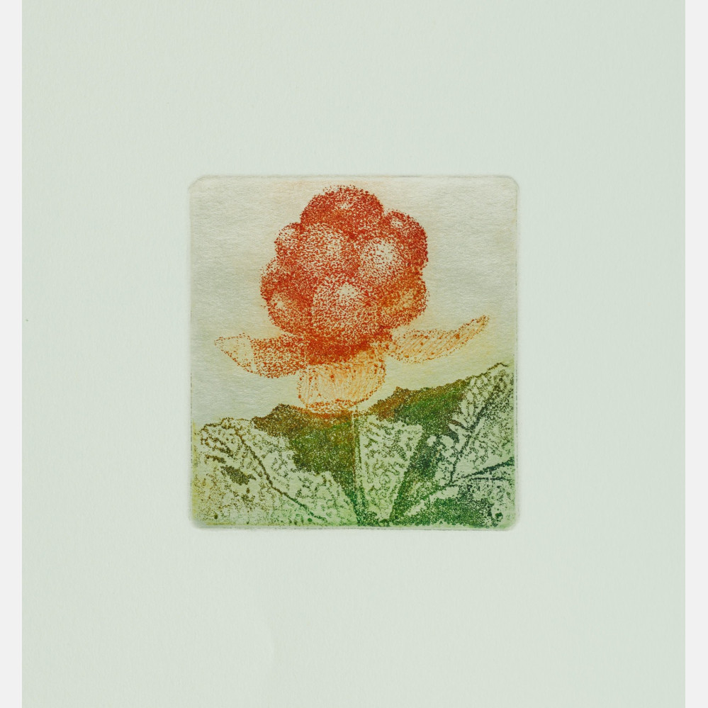 Berrying: Multebær