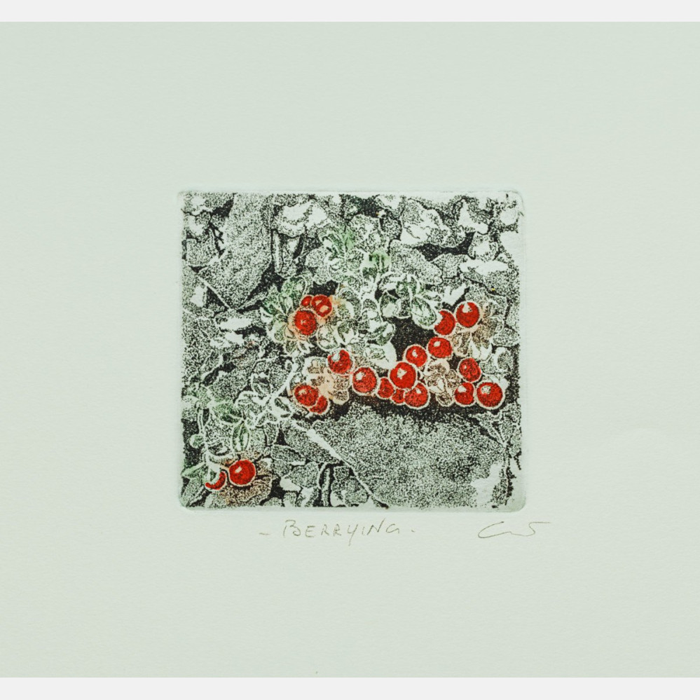 Berrying: Tyttebær