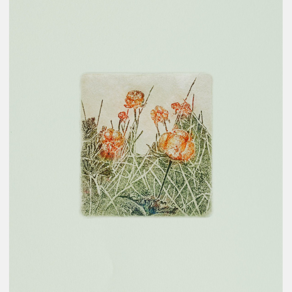 Berrying: multebær