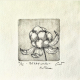 Berryland- multebær