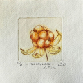 Berryland- multebær