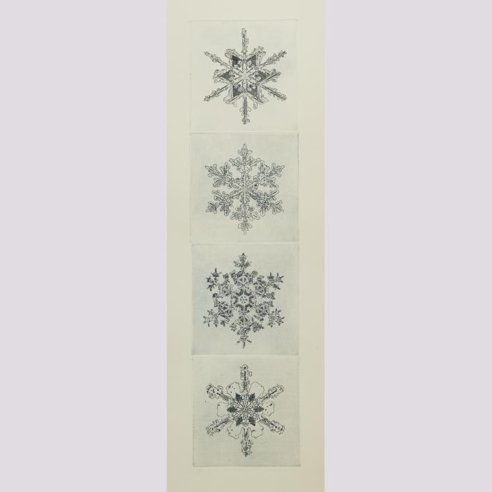 Blacksnow (4 plates)