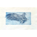 Finnmark Airlines-Fly with us n3