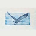 Finnmark Airlines-Fly with us n2