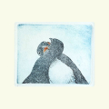Finnmark life, Kiss me darling!