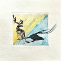 Finnmark shadow play nr.3