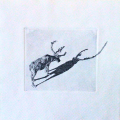 Finnmark shadow play nr.1