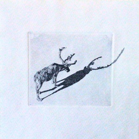 Finnmark shadow play nr.1