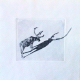 Finnmark shadow play nr.1