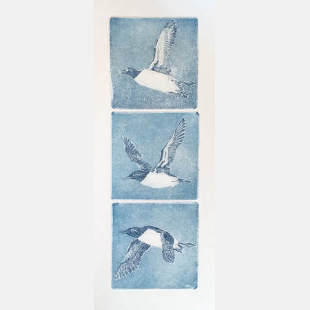 Finnmark Airlines, Lomvi (3 plates)