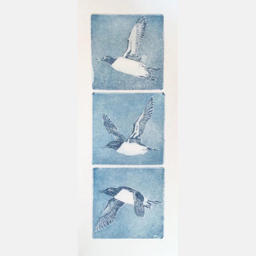 Finnmark Airlines, Lomvi (3 plates)