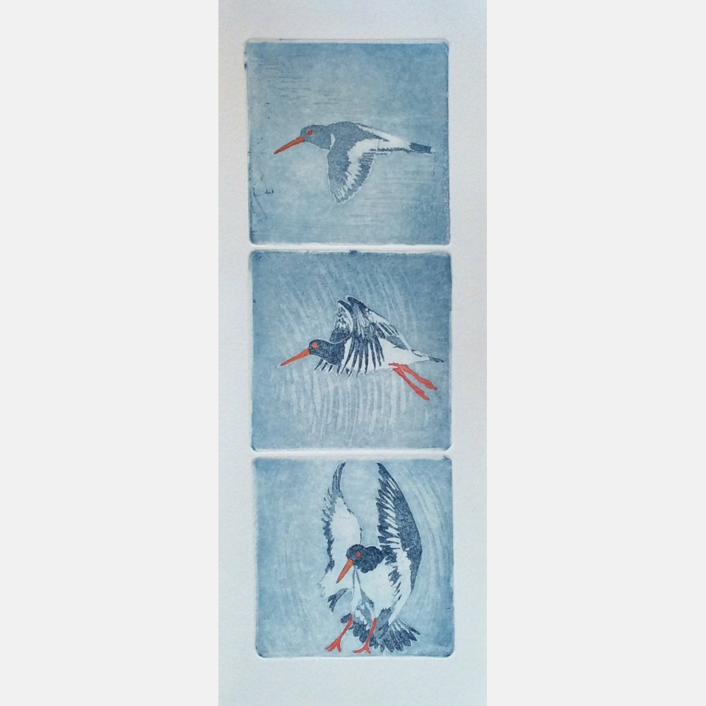 Finnmark Airlines, Tjeld (3 plates)