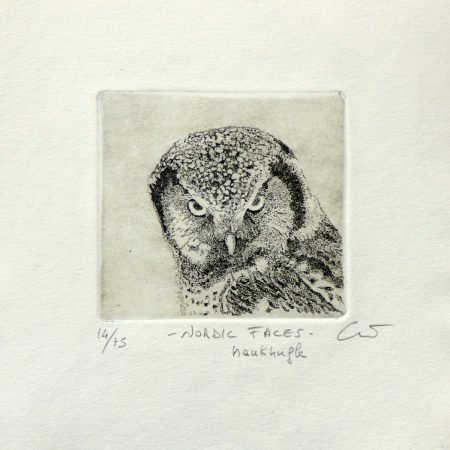 Nordic faces.Haukugle