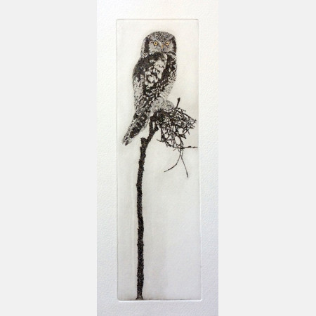 Nordic tales... Haukugle