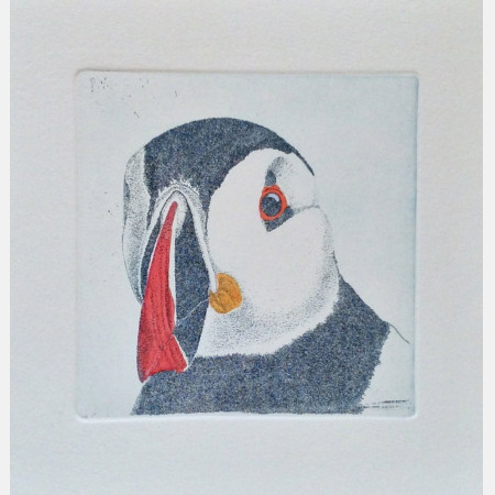 Self-timer portrait Puffin nr2