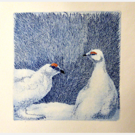Finnmark: the residents. To Fjellryper