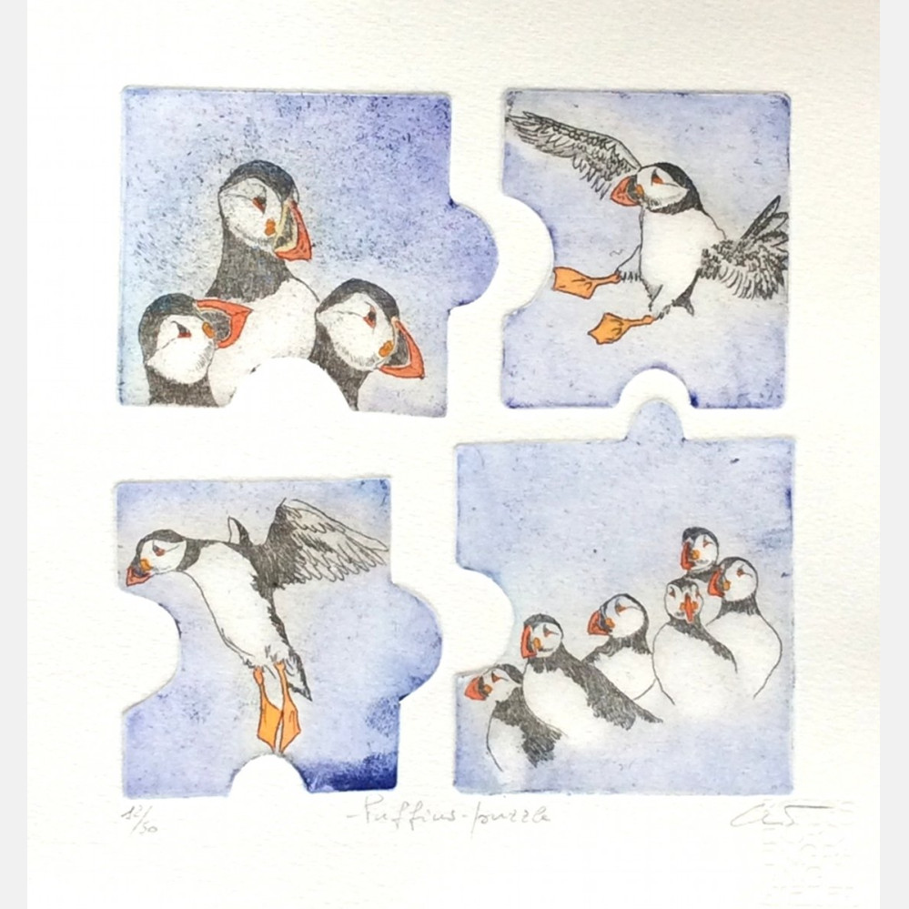 Puffins puzzle B