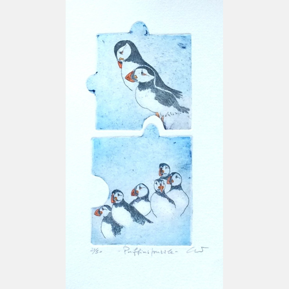 Puffins puzzle E