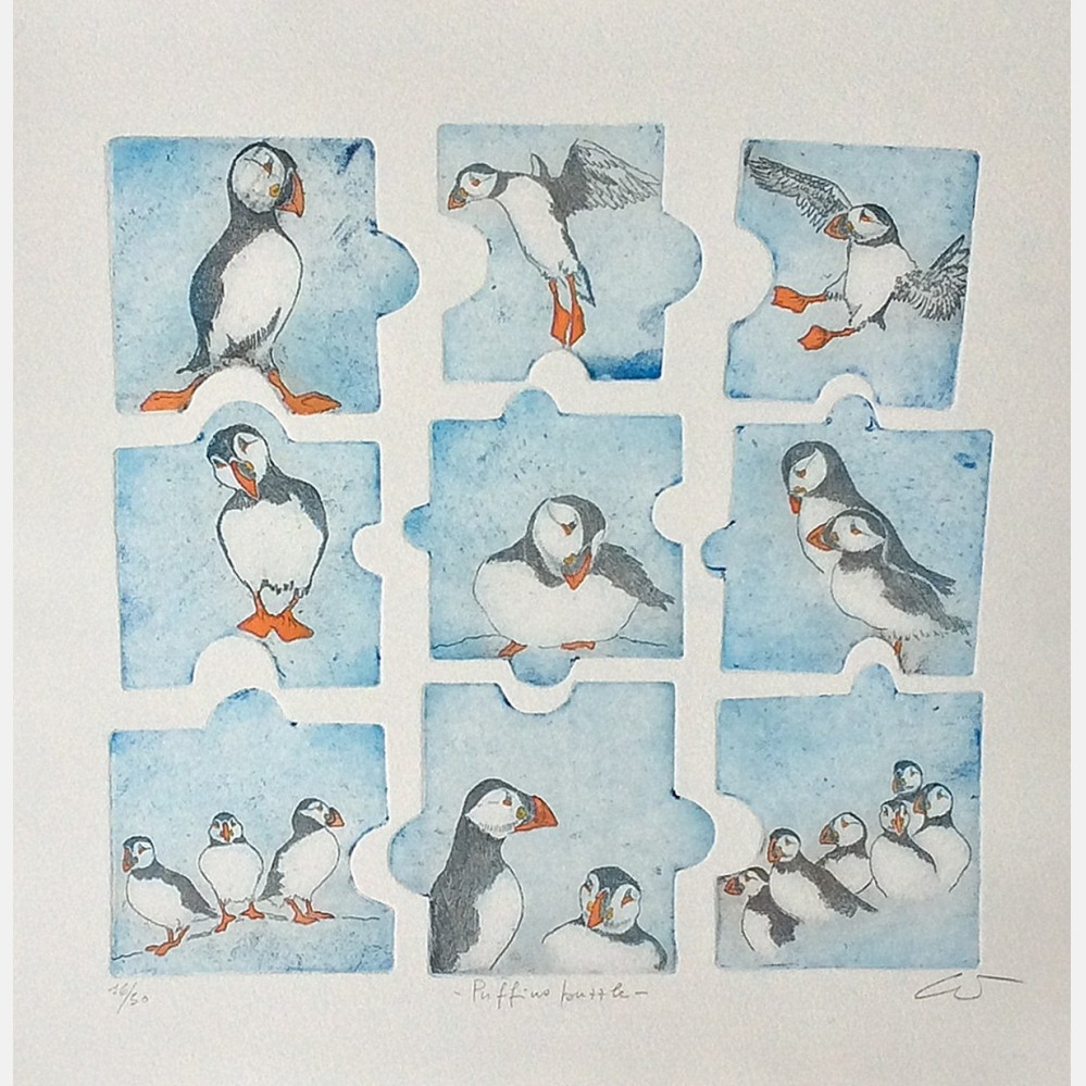 Puffins puzzle