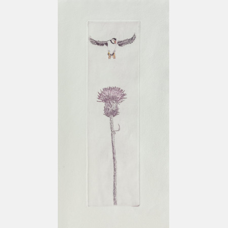 Nordic tales..the Thistle