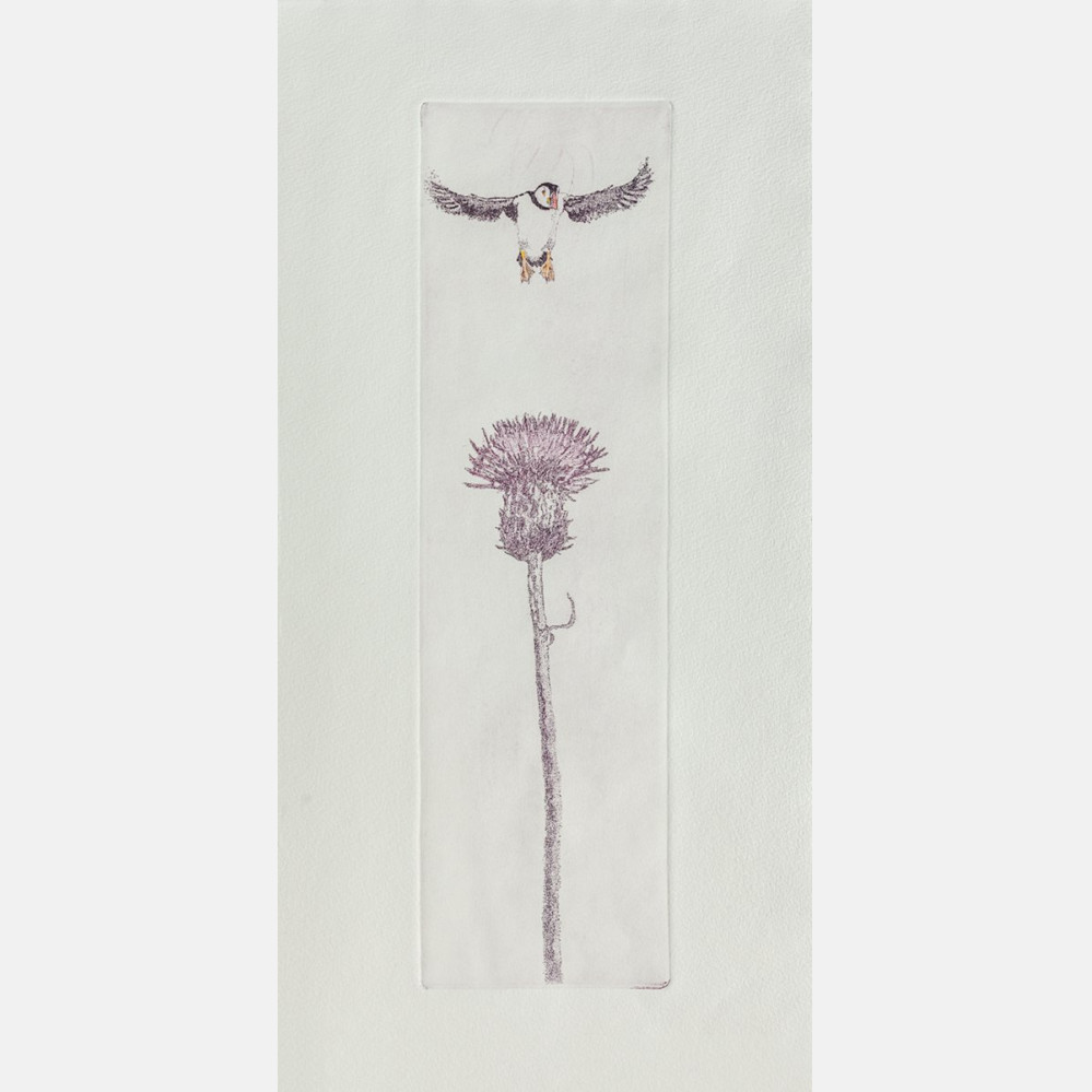 Nordic tales..the Thistle