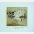 Commedia dell'arte C