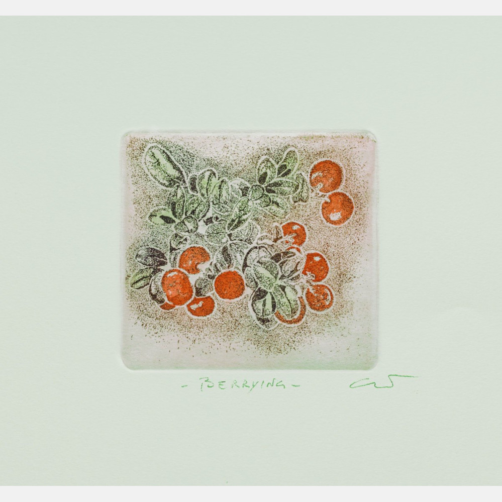 Berrying: TyttebærB