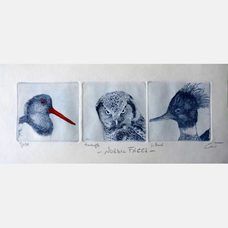 Nordic faces..Tjell, Haukugle, Siland.