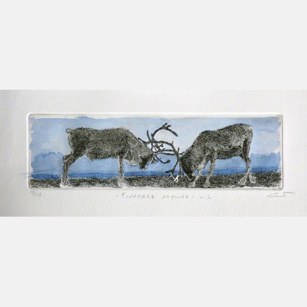 Finnmark Skyline n.4